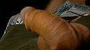 mmmmm geil, foto 3264x1832, 3 reacties, 5 stemmen