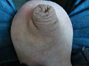 mrs, foto 3648x2736, 1 reacties, 5 stemmen