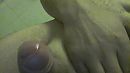 natte eikel :D, foto 640x360, 0 reacties, 1 stemmen