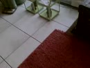 oehh, film 00:00:00, 2 reacties, 4 stemmen