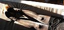 panty`s, foto 4000x1908, 1 reacties, 1 stemmen