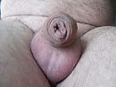 piep, foto 2048x1536, 0 reacties, 1 stemmen