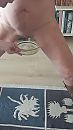 plassen op nivo, foto 1499x2663, 15 reacties, 81 stemmen