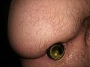 plug, foto 3968x2976, 1 reacties, 1 stemmen
