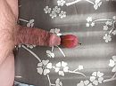 pruim, foto 3264x2448, 4 reacties, 8 stemmen