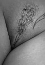 pussy, foto 1584x2259, 12 reacties, 86 stemmen