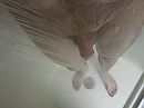 regendouche, foto 640x480, 0 reacties, 2 stemmen