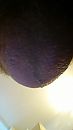 scheren, foto 720x1280, 1 reacties, 3 stemmen