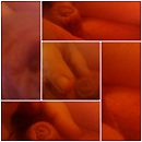 sexy dick, foto 1500x1500, 0 reacties, 0 stemmen