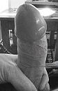 shiny head, foto 1000x1561, 2 reacties, 7 stemmen