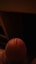 snoepert, foto 1440x2560, 1 reacties, 4 stemmen