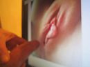 stel-bi, foto 4000x3000, 1 reacties, 5 stemmen