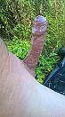 strakke geile penis in de zon, foto 720x1280, 0 reacties, 4 stemmen