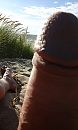 strand, foto 1232x2048, 0 reacties, 3 stemmen