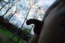 toch nog frisjes s'avonds, foto 1014x681, 2 reacties, 10 stemmen