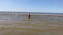 uit het water, film 00:00:00, 8 reacties, 74 stemmen