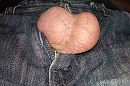 van onderen, foto 2129x1426, 0 reacties, 2 stemmen