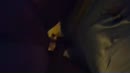 vervolg geil sletje, film 00:00:00, 18 reacties, 100 stemmen