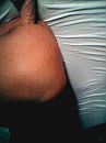 volle vulling, foto 480x640, 1 reacties, 2 stemmen