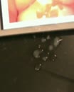 voor Ben en ???, film 00:00:07, 3 reacties, 5 stemmen