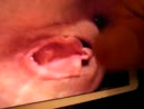 voor Desirebabe...., film 00:00:26, 1 reacties, 3 stemmen