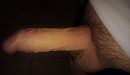waaslander, foto 2563x1500, 0 reacties, 3 stemmen