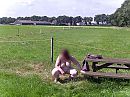 was het maar weer zomer, foto 2592x1944, 3 reacties, 25 stemmen