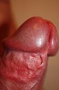 wat een eikel..., foto 2666x4000, 1 reacties, 4 stemmen