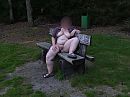 weer een bankje gevonden, foto 2592x1944, 2 reacties, 31 stemmen
