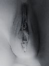 weer eens wat anders..., foto 866x1155, 2 reacties, 73 stemmen