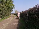 welke fietsers?, foto 2592x1944, 3 reacties, 36 stemmen