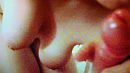 wie wil, foto 3264x1836, 24 reacties, 53 stemmen
