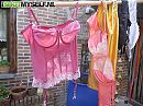 wij koppel gaan nu 21/10, foto 550x412, 4 reacties, 13 stemmen