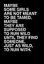 wild one, foto 403x569, 8 reacties, 70 stemmen