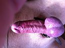 woensdagmiddagfun, foto 2592x1936, 0 reacties, 0 stemmen