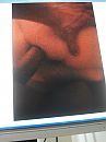 x, foto 2448x3264, 0 reacties, 2 stemmen