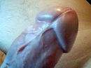 xxx, foto 640x480, 0 reacties, 0 stemmen