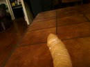 xxxxxxxxxxxxxxxxxxxxxxxxxxxxxx, film 00:00:00, 2 reacties, 2 stemmen