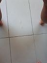 zaad, foto 1728x2304, 0 reacties, 12 stemmen