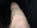 zin, foto 640x480, 5 reacties, 12 stemmen