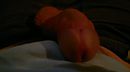 zuig me, foto 3264x1832, 1 reacties, 4 stemmen