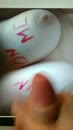 ..., film 00:00:17, 4 reacties, 11 stemmen