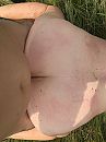 10-06-18, foto 3000x4000, 8 reacties, 58 stemmen