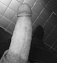 1, foto 484x537, 4 reacties, 7 stemmen