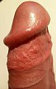 in volle glorie, foto 1270x1982, 2 reacties, 6 stemmen