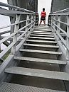 27 augustus 2018, foto 1536x2048, 2 reacties, 48 stemmen