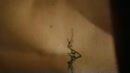 2pikken in haar kut, film 00:00:26, 44 reacties, 344 stemmen