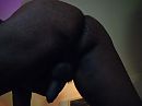 :), foto 1181x886, 0 reacties, 3 stemmen