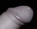 Achter de denim, foto 380x304, 1 reacties, 2 stemmen