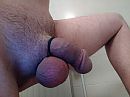 Afgebonden, foto 4000x3000, 4 reacties, 20 stemmen
